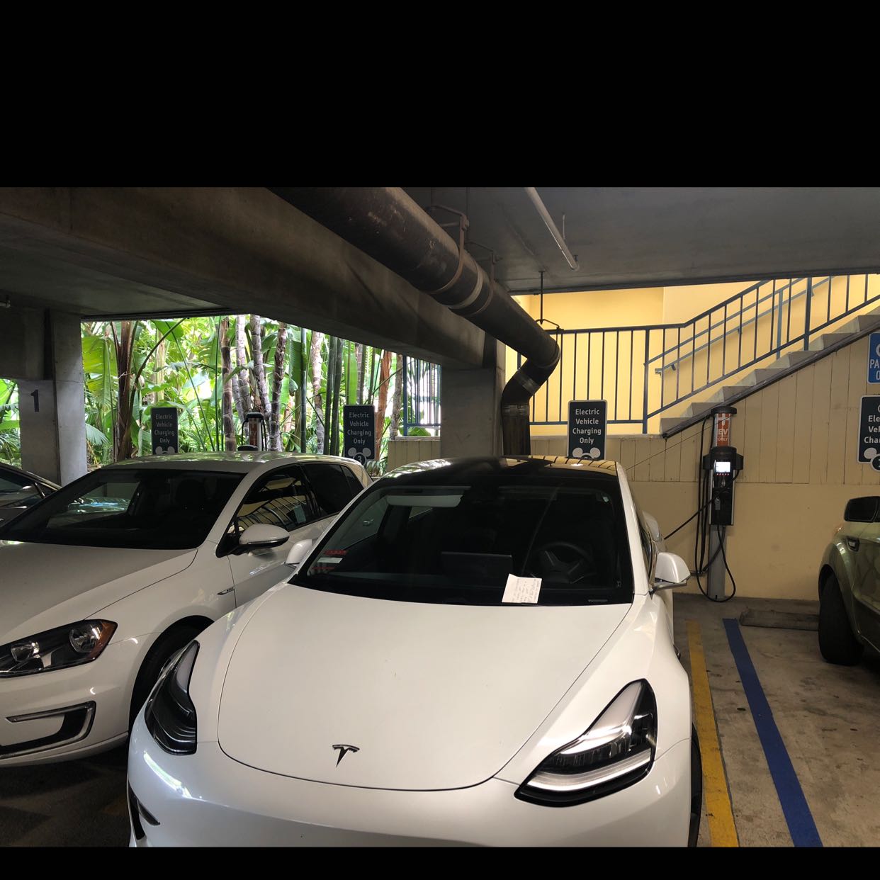 Paradise Pier Hotel-0