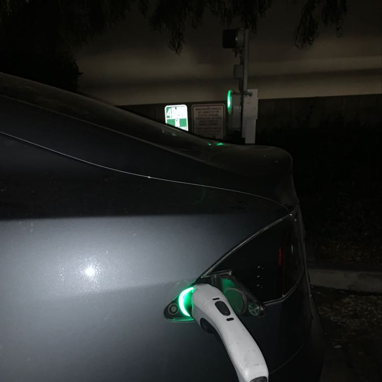 Studio City Library-0